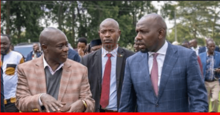 CS Murkomen Labels One Man One Shilling Campaign as a Threat to National Unity