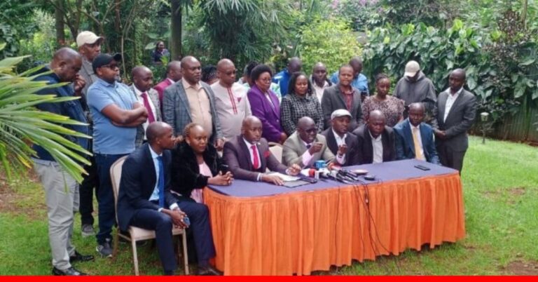 UDA MCAs Urge Gen Z to Cease Unreasonable Demands on President Ruto