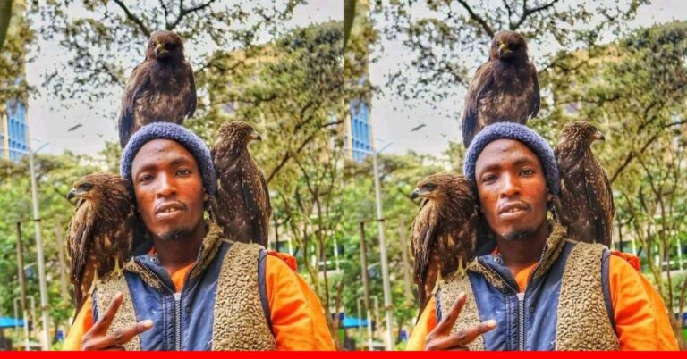 The Birdman of Nairobi: A Fascinating Tale of Man and Hawks